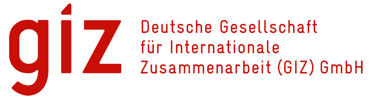 GIZ Logo